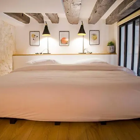 Gabrielle - Authentic Loft Saint-germain Luxembourg Courtyard باريس