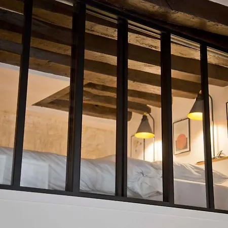 Apartment Modern Loft Saint Germain Luxembourg Odeon Paris